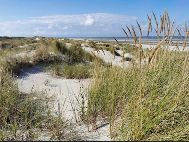 Seeblick Lachmoewe, Exklusive Lage In Strandnaehe Wangerooge Exteriör bild